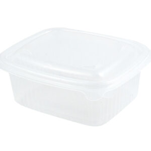 MICROWAVEABLE RECT. HINGED CONTAINER V1010 (250CC)