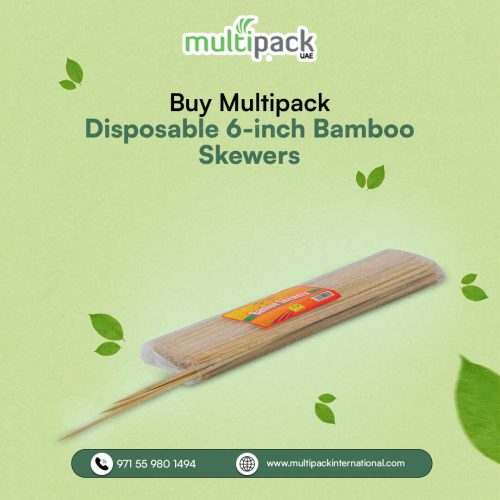 Buy-Disposable-6-inch-Bamboo-Skewers.jpg