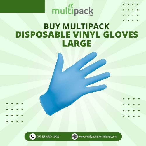 Disposable-Vinyl-Gloves-Large.jpg